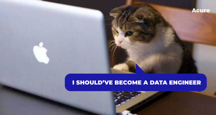 Data Engineer Meme